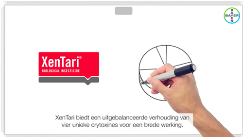 XenTari YouTupe filmpje.png